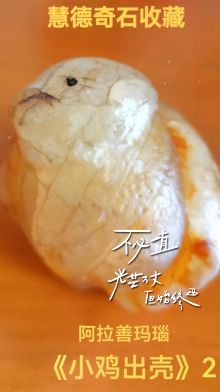 深圳市博创园文化传播有限公司潘先生收藏