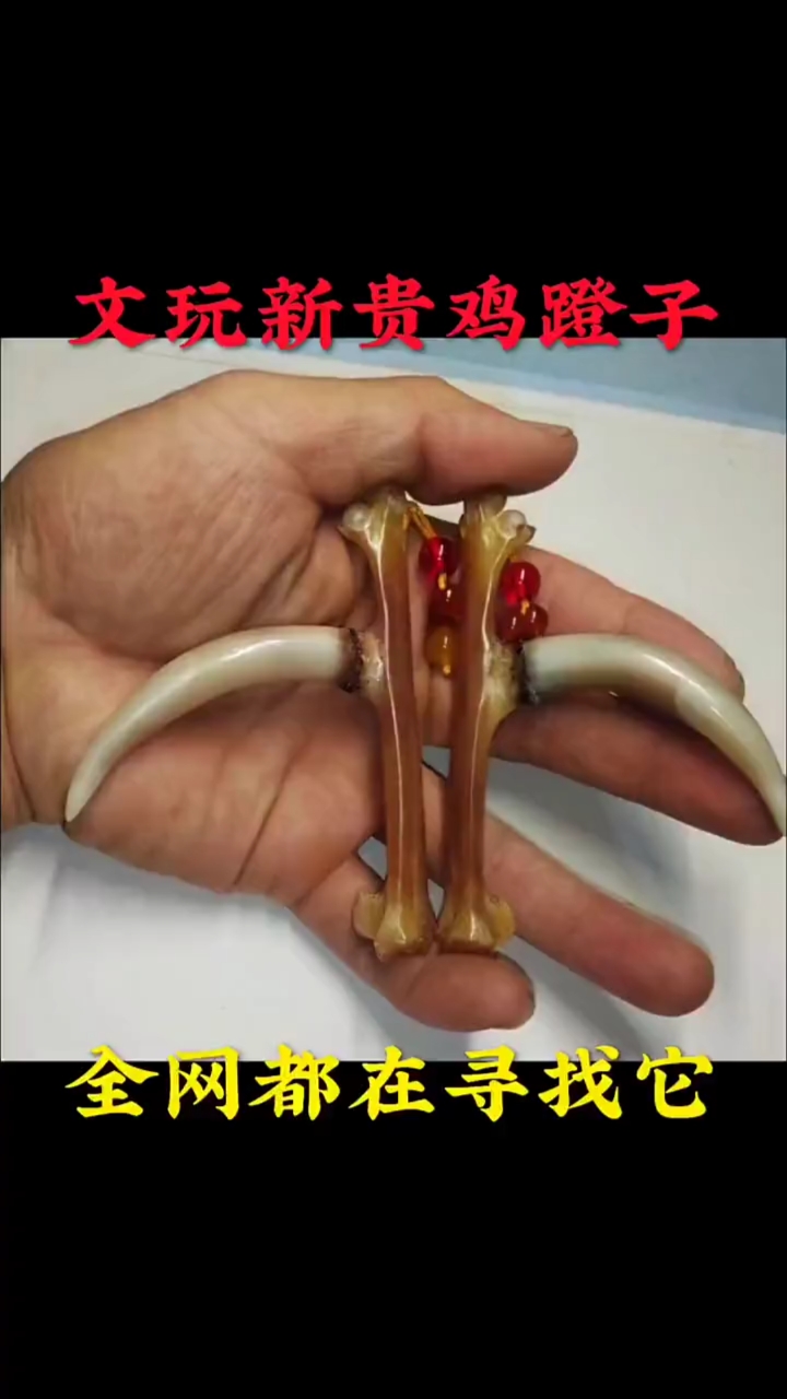 鸡蹬子是什么你知道吗