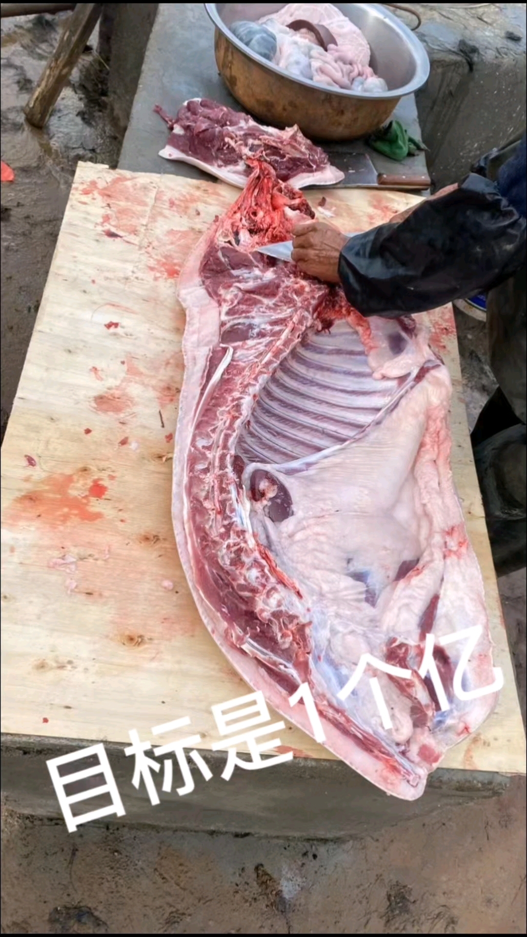 藏香猪-猪中爱马仕