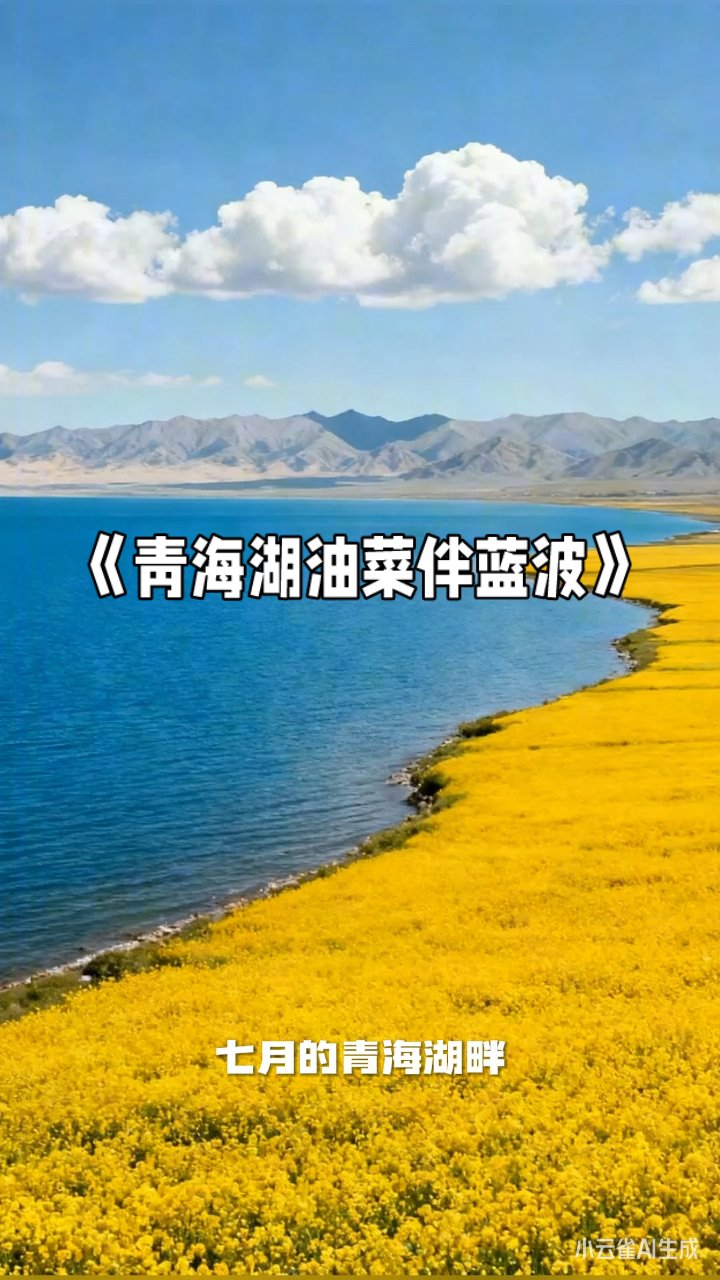 青海湖畔七月花海盛放
