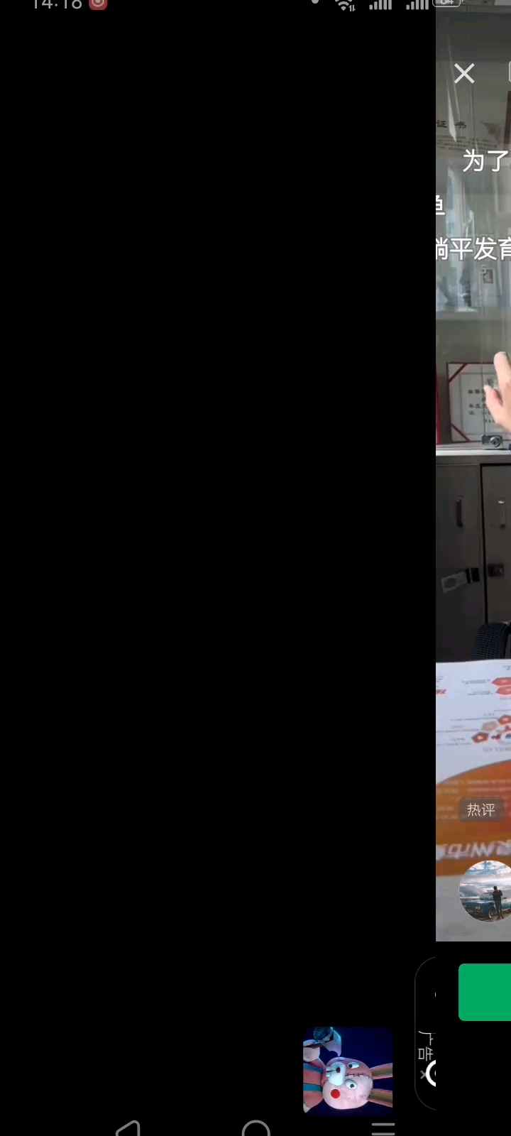 鲤鱼ace的阳光彩虹小白马