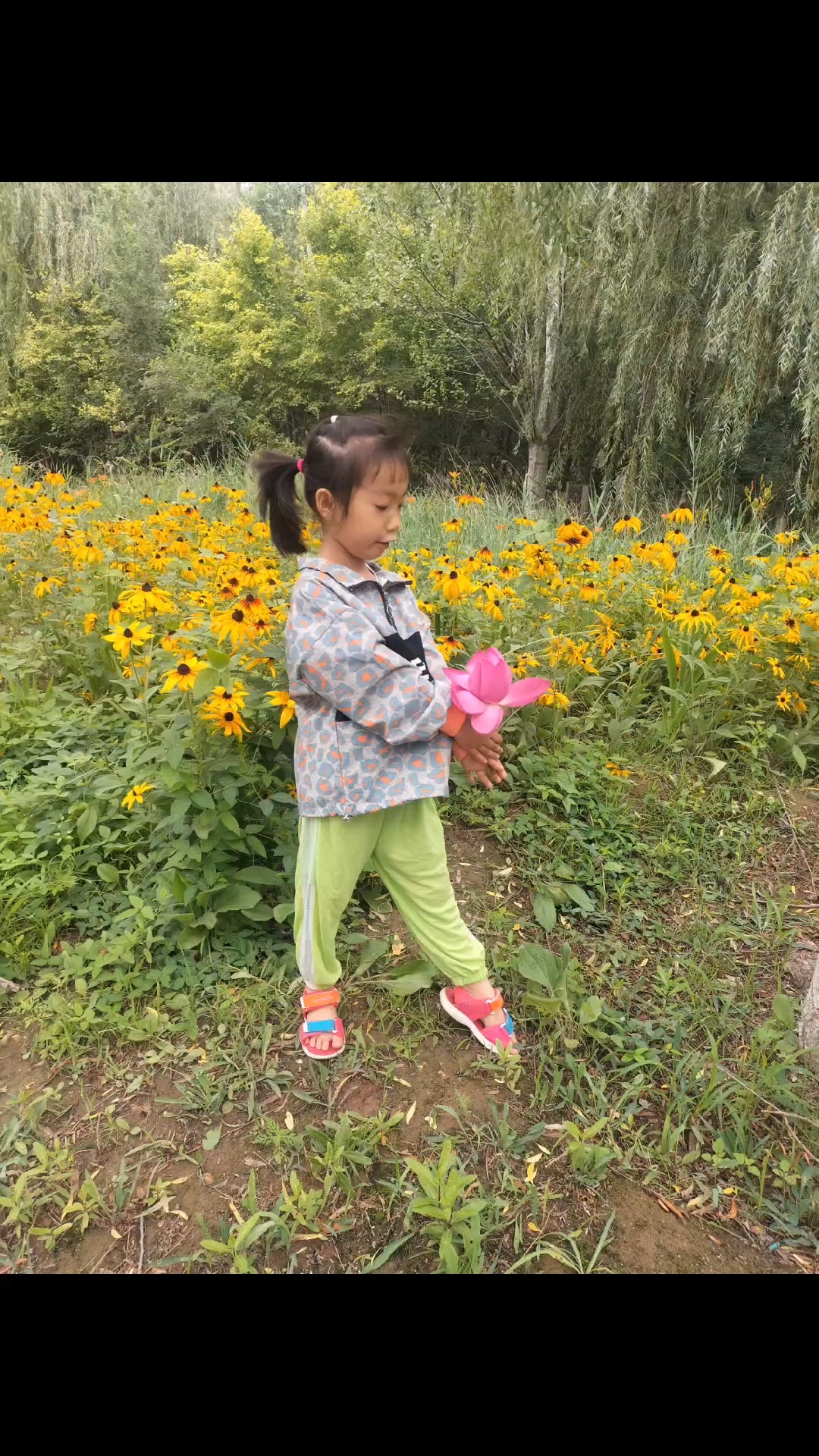 生活文案短句干净治愈阳光