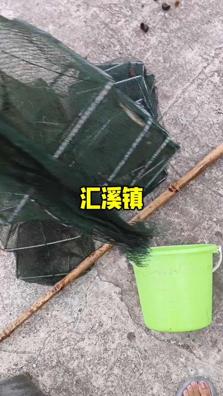 淡水石斑鱼成功拿下。