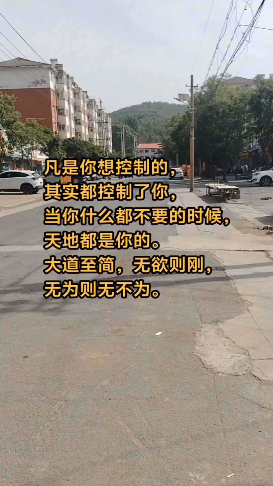 每日分享句子,心灵鸡汤
