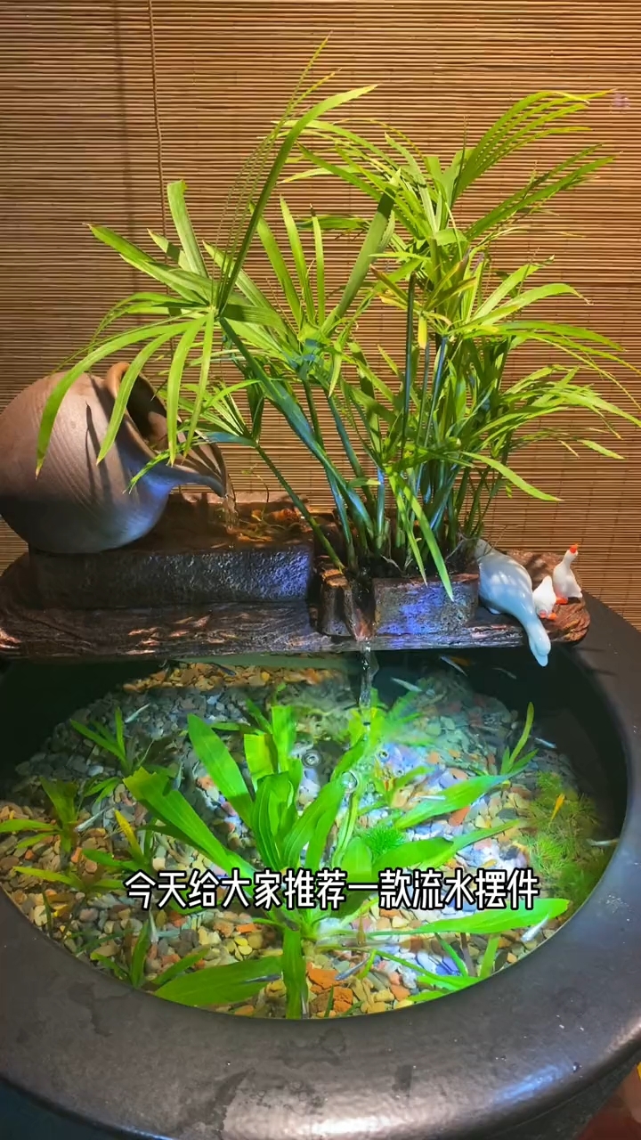 懒人鱼缸造景秘诀|会呼吸的循环流水系统附超全摆件清单