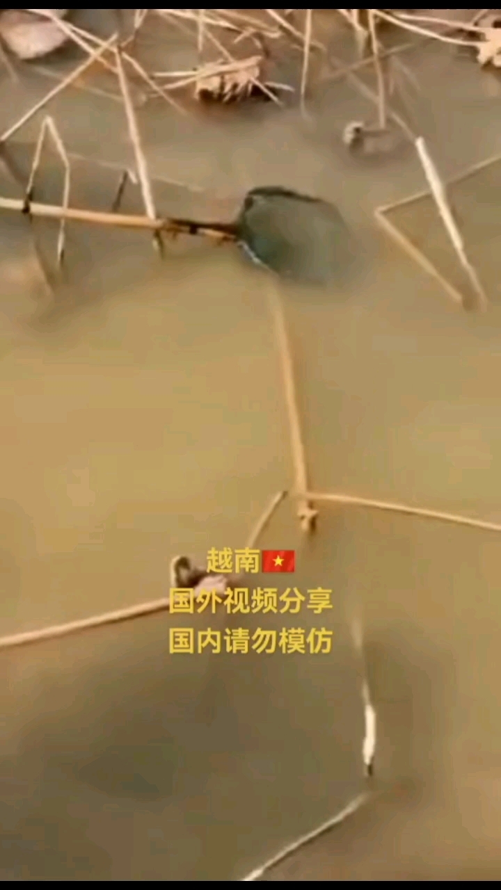 新型电吸捕深水抓鱼机器 新型电吸咸淡两用深水电吸鱼机视频