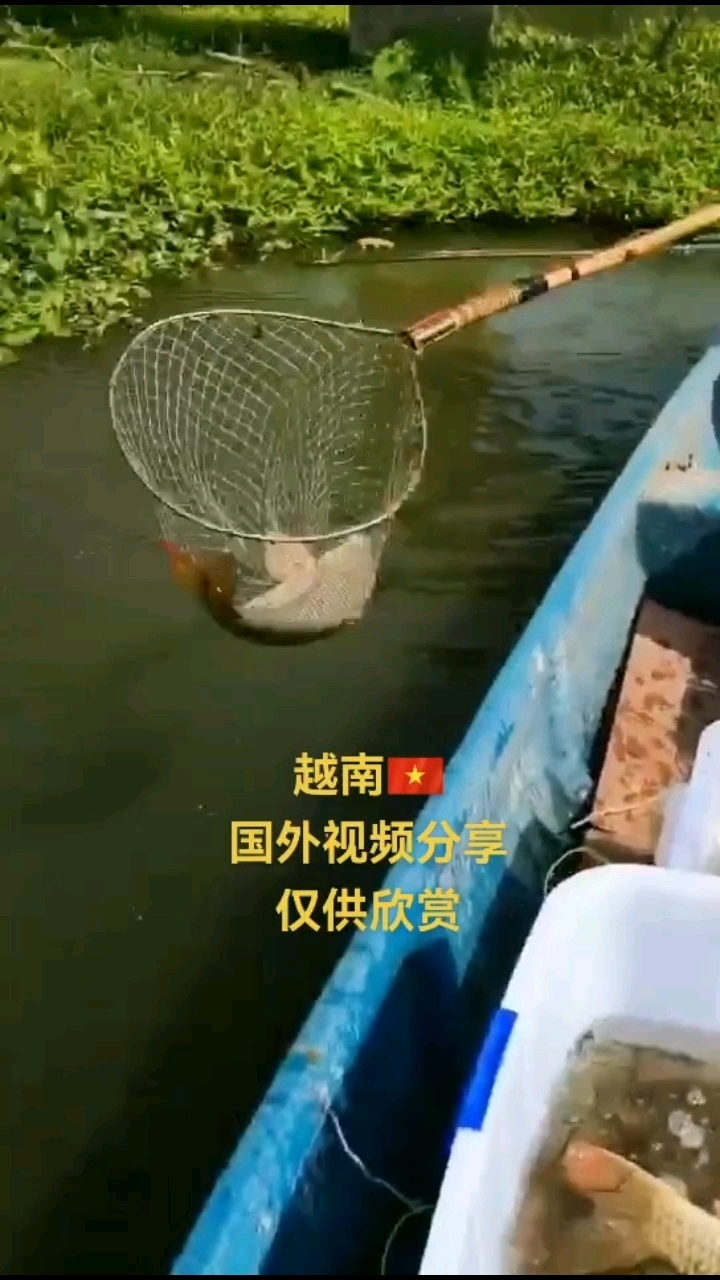 船用发电机捕吸机会把鱼吸过来的逆变器最新发电机大功率后级吸鱼