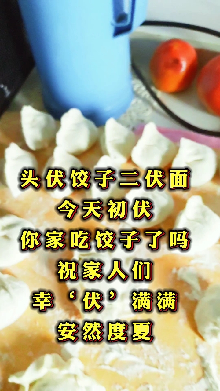 今日初伏,你家吃饺子了吗?
