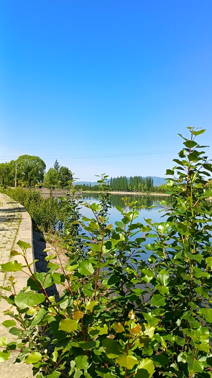 深海鱼群教会我的事