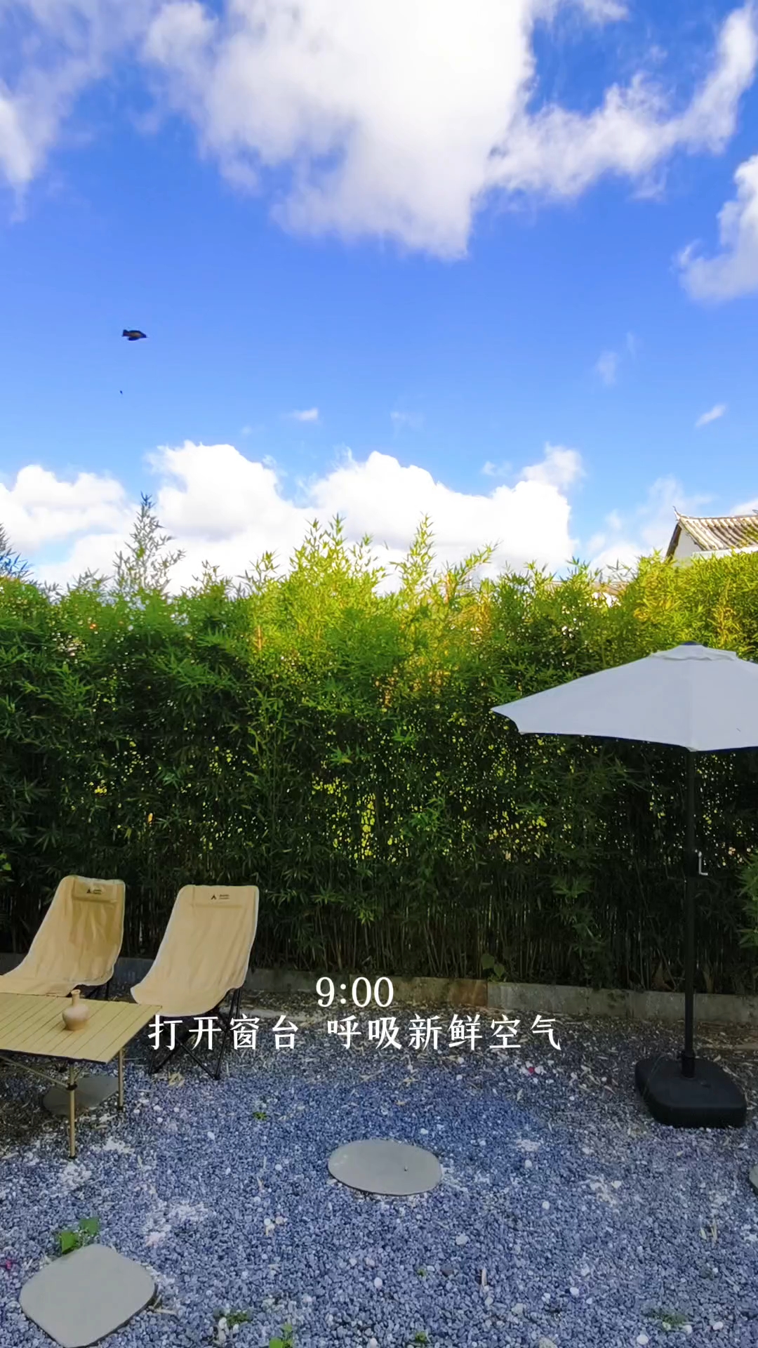 丽江旅居的一天