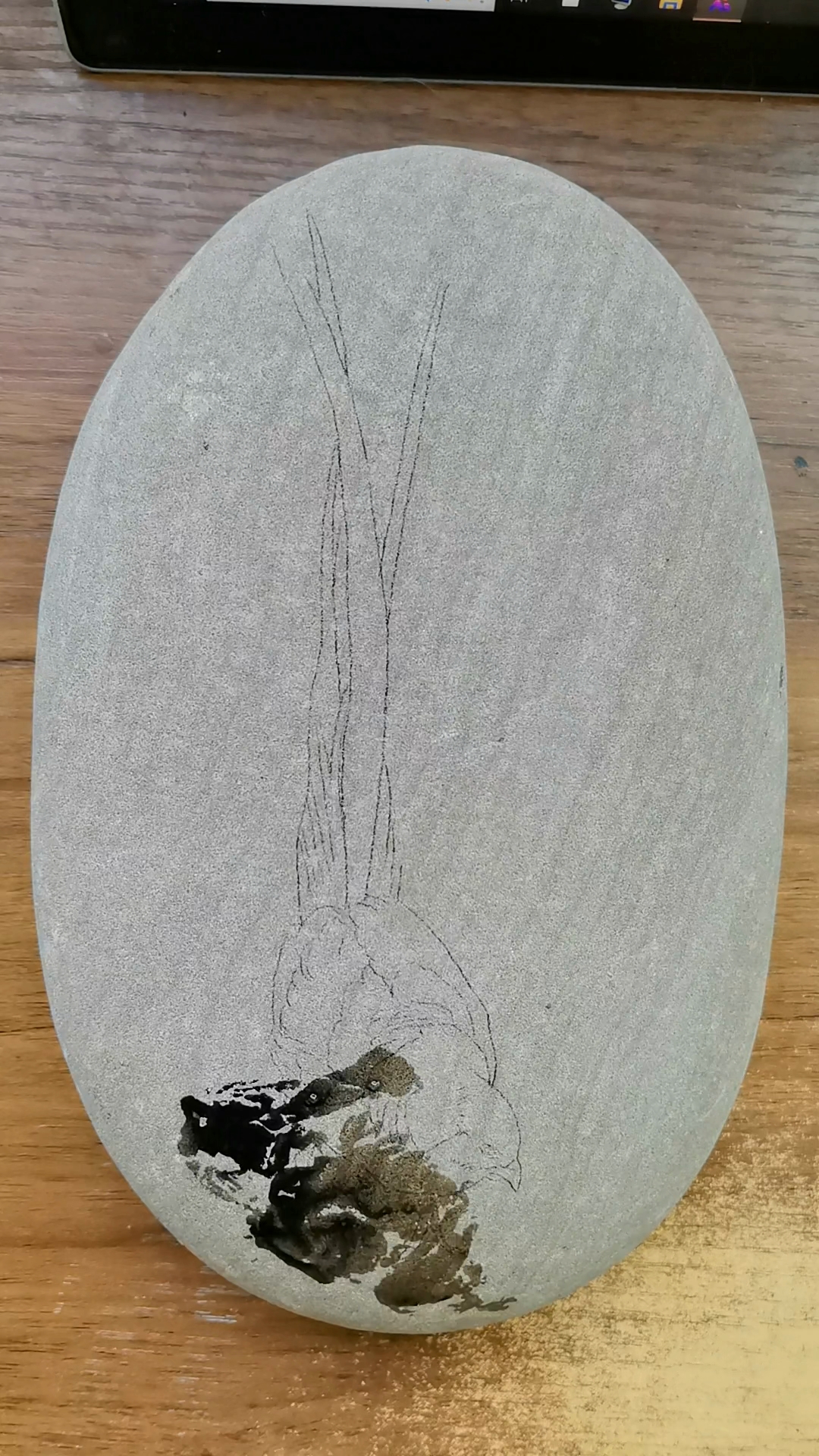 石头上画红腹锦鸡,祝福大家日子红红火火蒸蒸日上