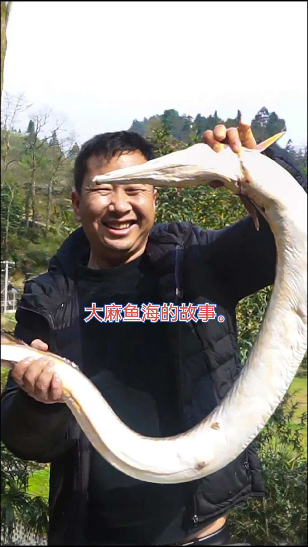 玉平找朋友从海南买来超大的麻鱼,今天烫个火锅吃,柴火火锅吃着