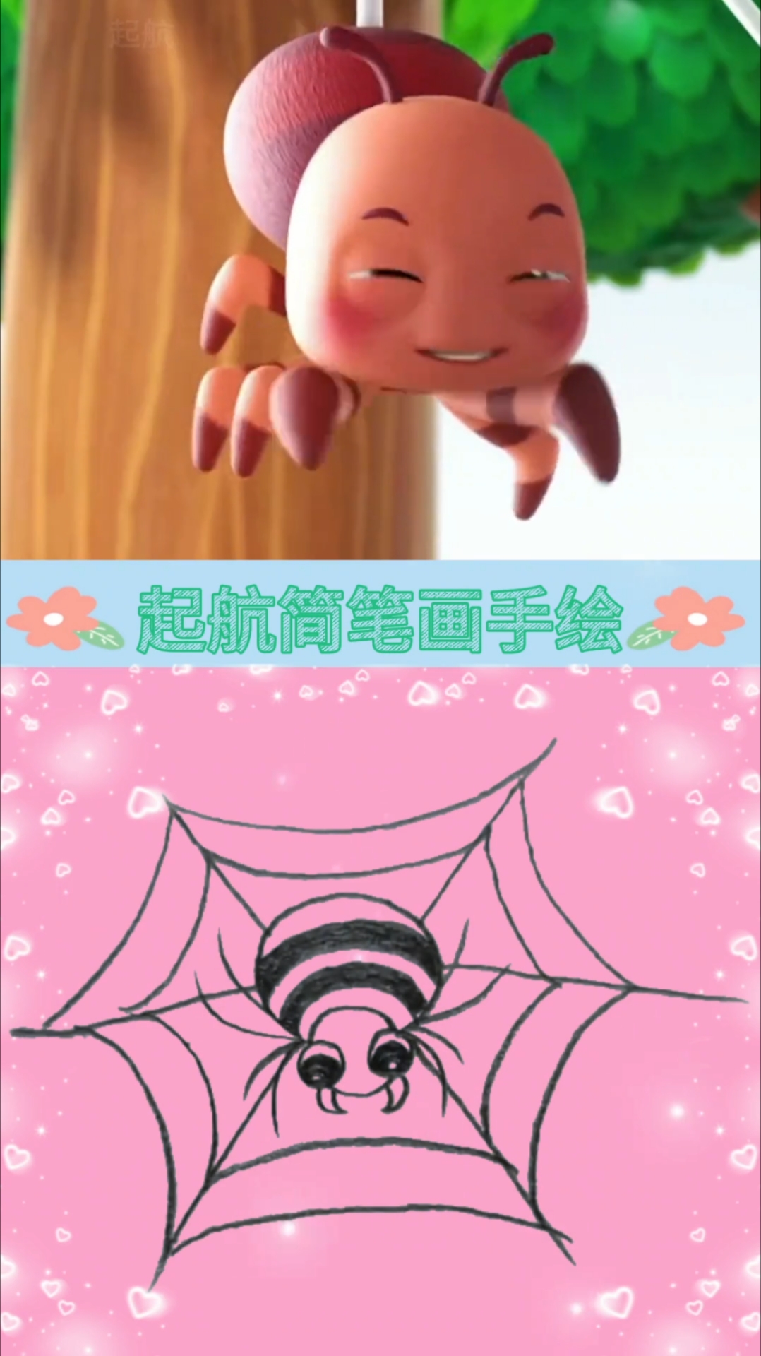 蜘蛛宝宝在萌鸡家安家