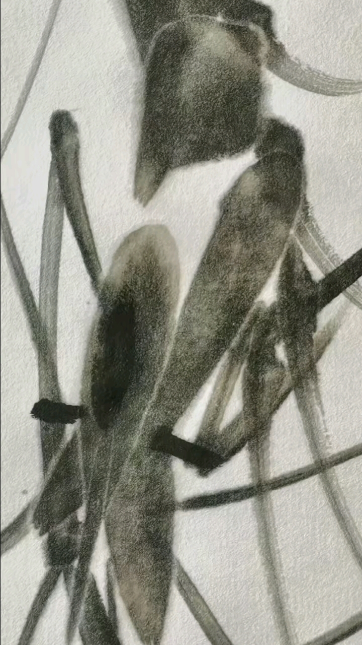 水墨虾水墨虾画画