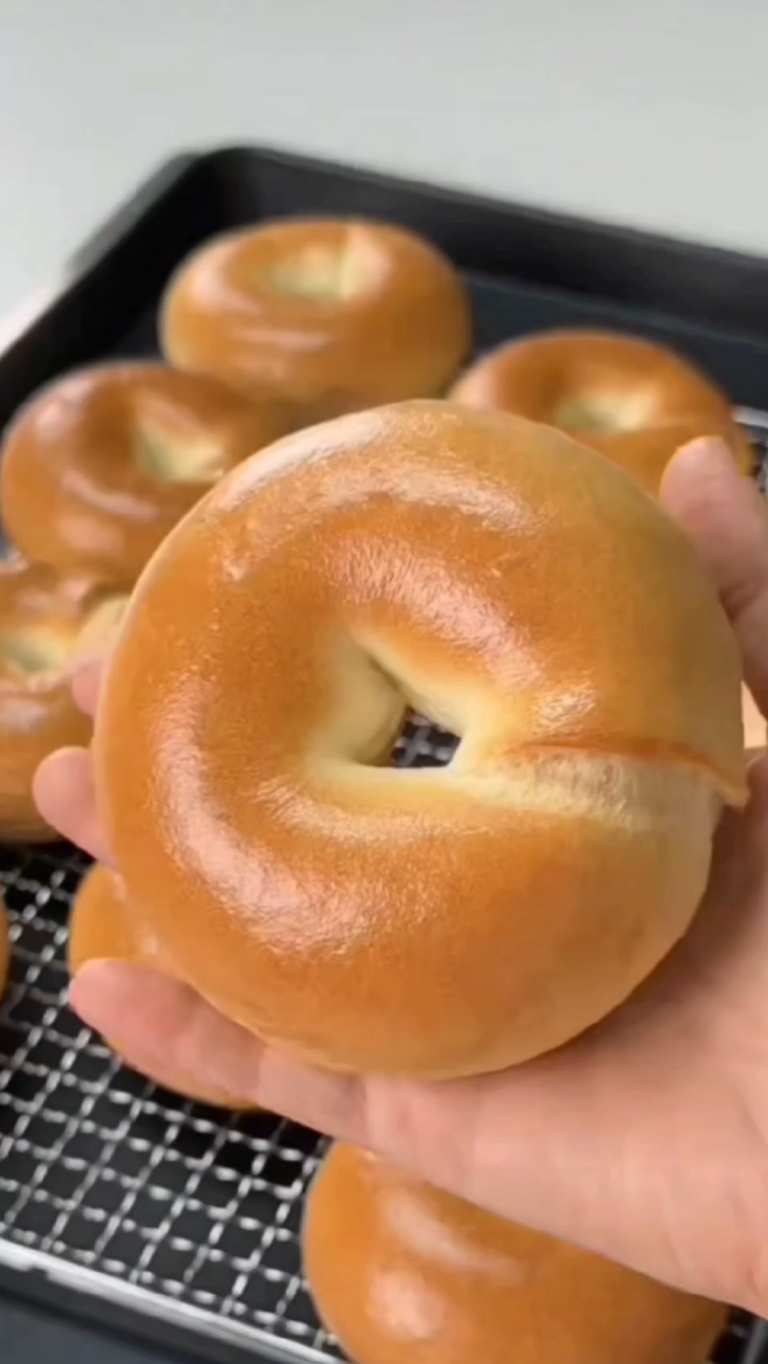 认识十二种不同品种面包