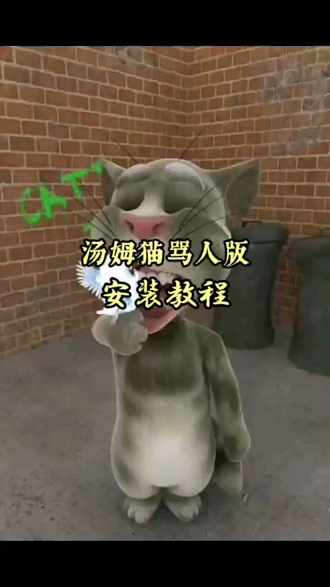 汤姆猫骂人版下载教程