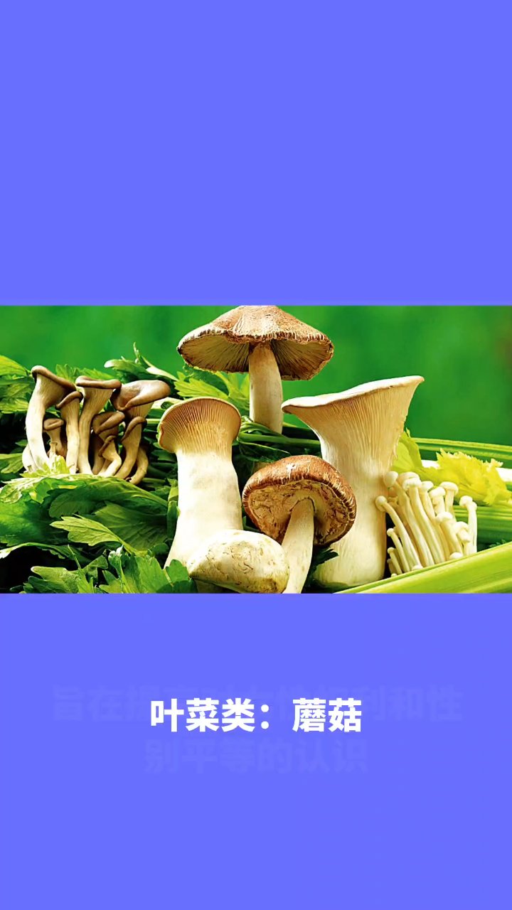 **烧烤食材大全,满足你的味蕾!**