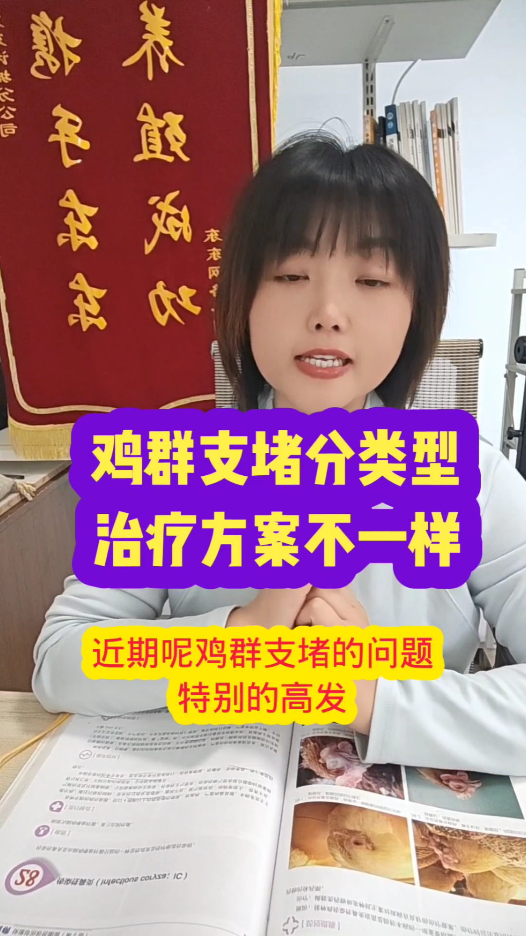 鸡群支气管堵塞,怎么治疗