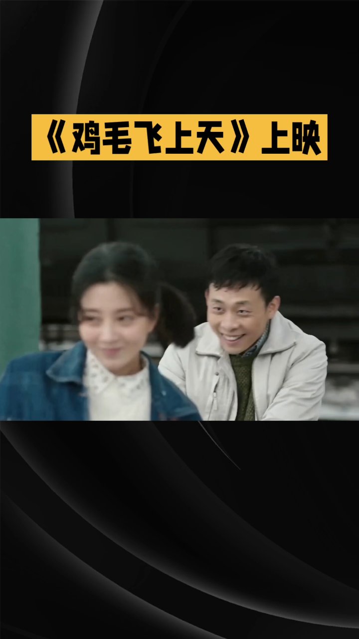 鸡毛飞上天