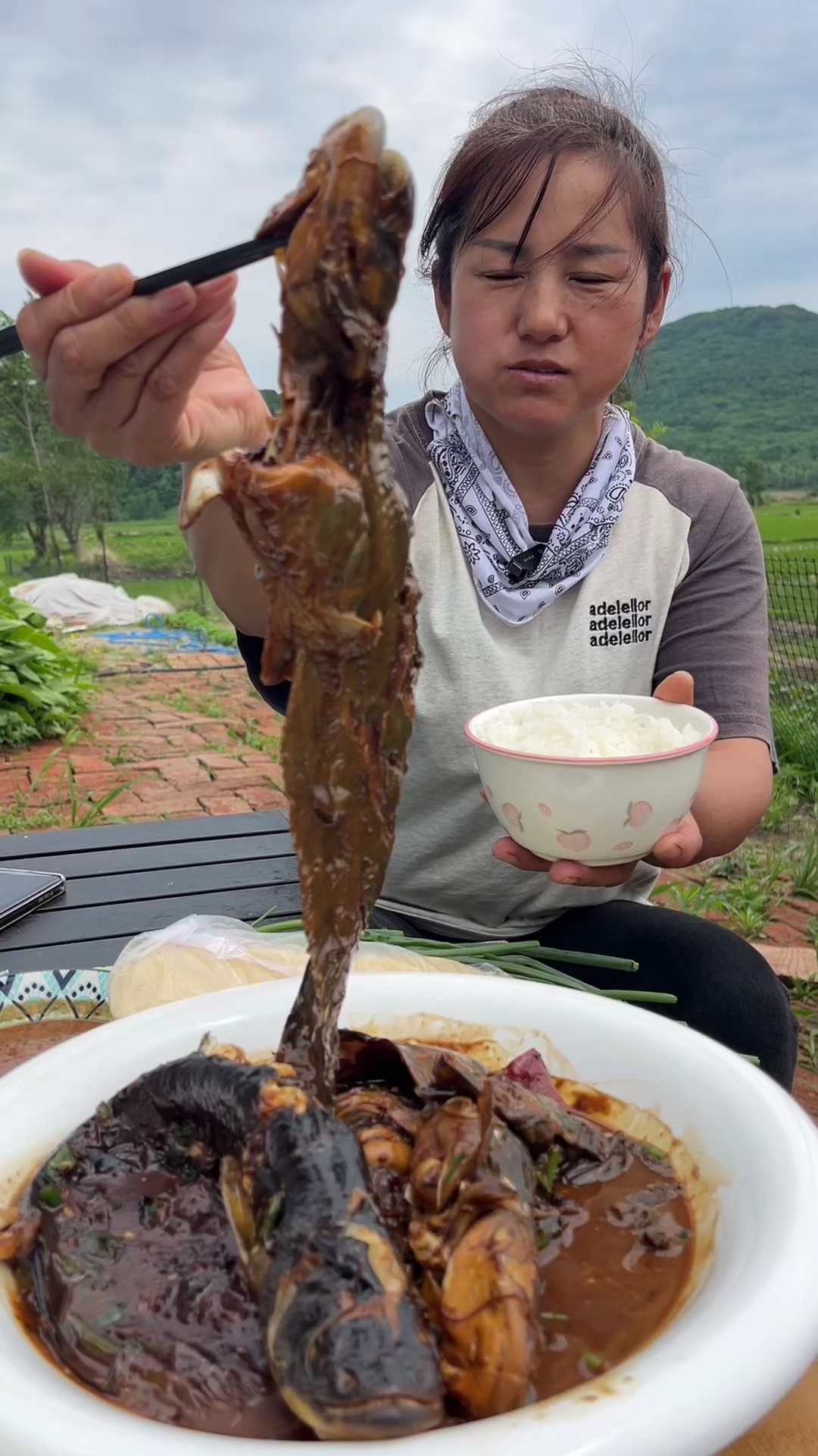 鲶鱼炖茄子,正经做法得加东北大酱,配上好的米饭,太香了