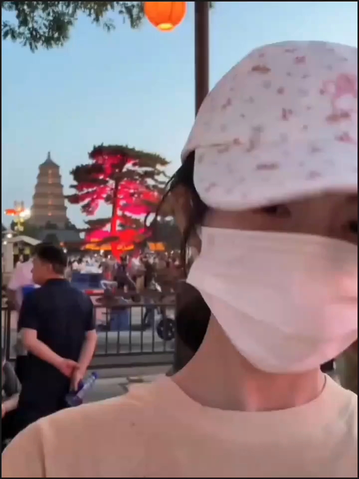 是妈咪养的可爱猪
