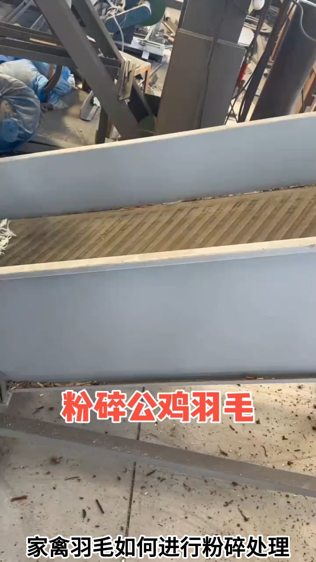 家禽羽毛如何进行粉碎处理?#鸡毛粉碎机#鹅毛粉碎机#鸭毛粉碎