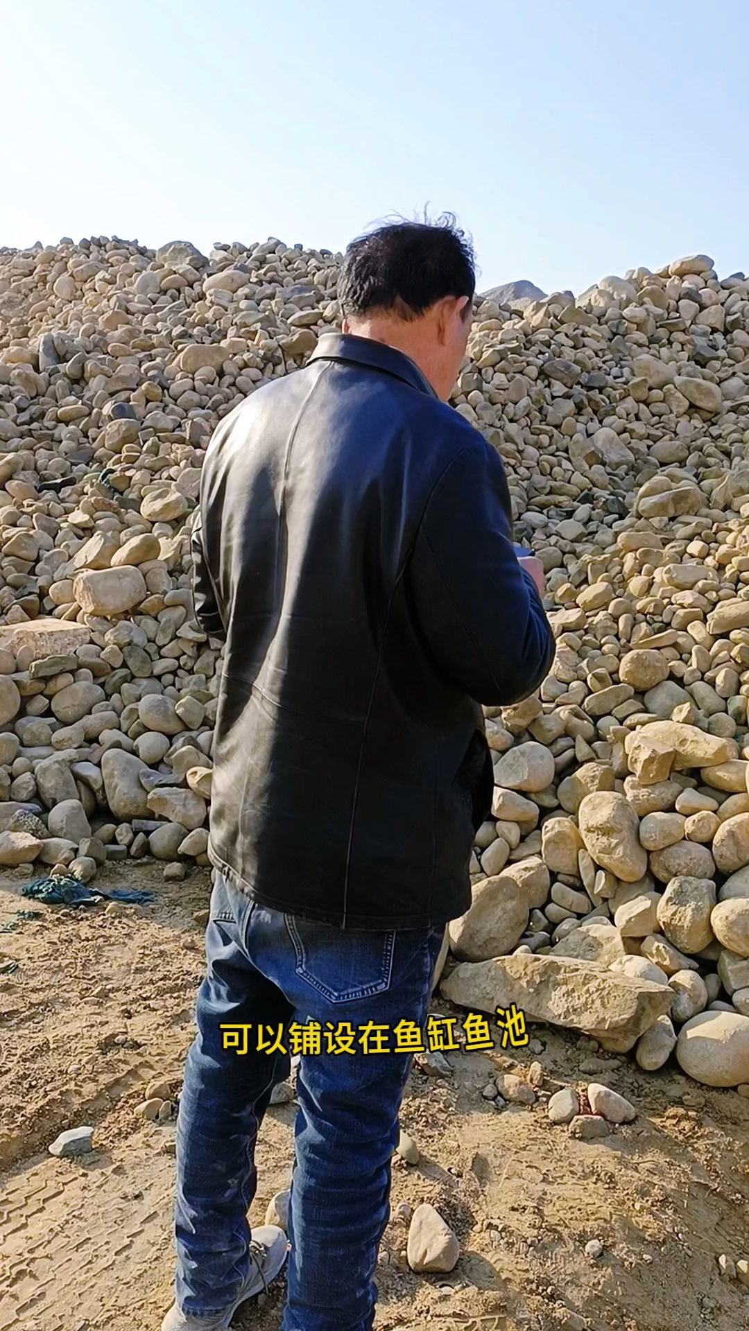 天然小型河滩石用途广泛,可以铺设在鱼缸、鱼池、溪流、假山垫底