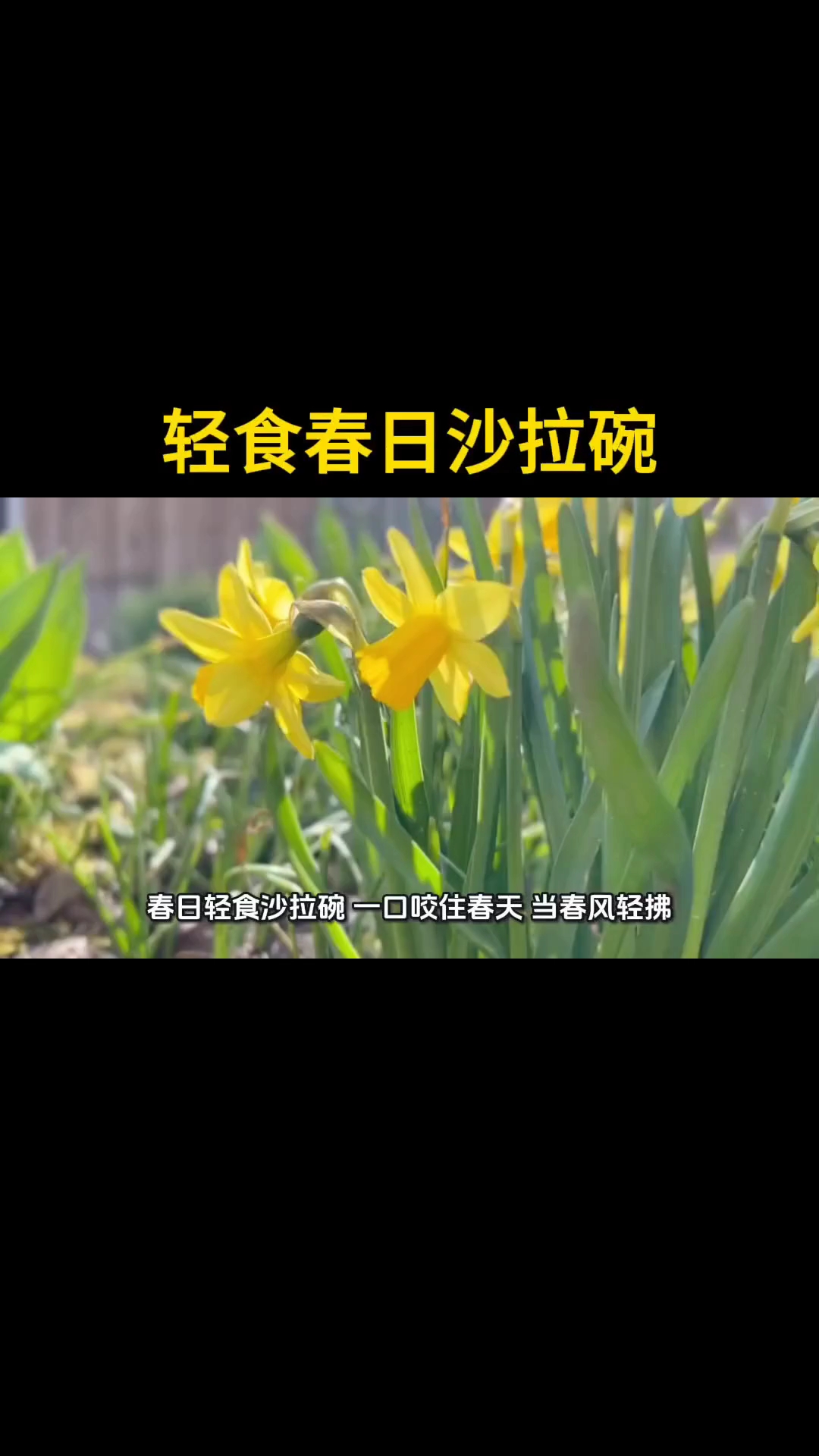 #轻食沙拉碗# #新大陆计划#