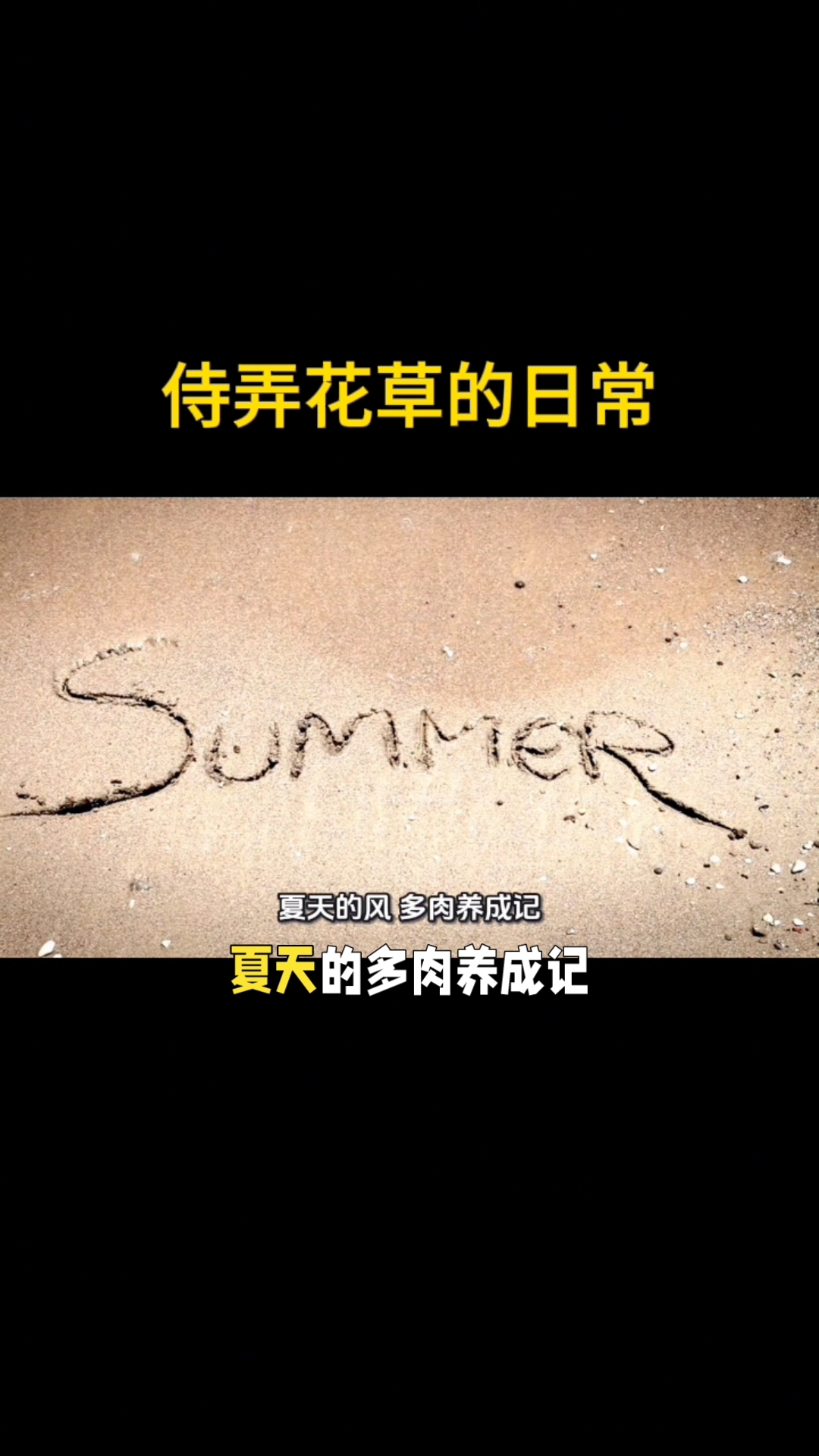 分享视频