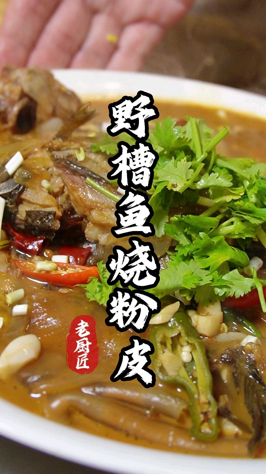 红薯粉皮不但可以炒着吃,和野曹鱼一起炖着吃也很好。