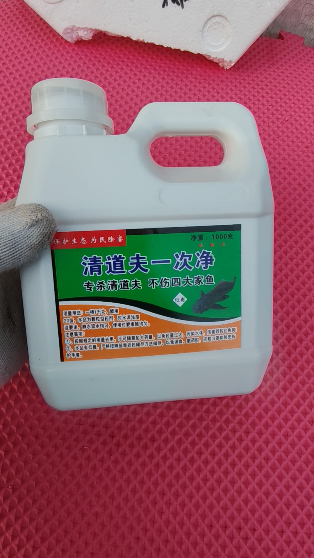 #专杀清道夫鱼药