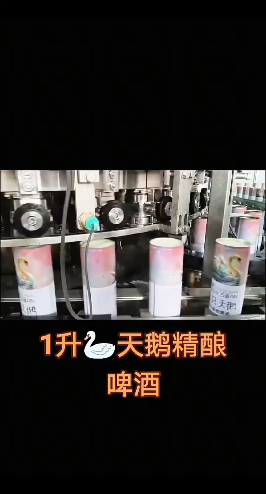 山东潮力精酿啤酒生产厂家天鹅啤酒产货中18369668967