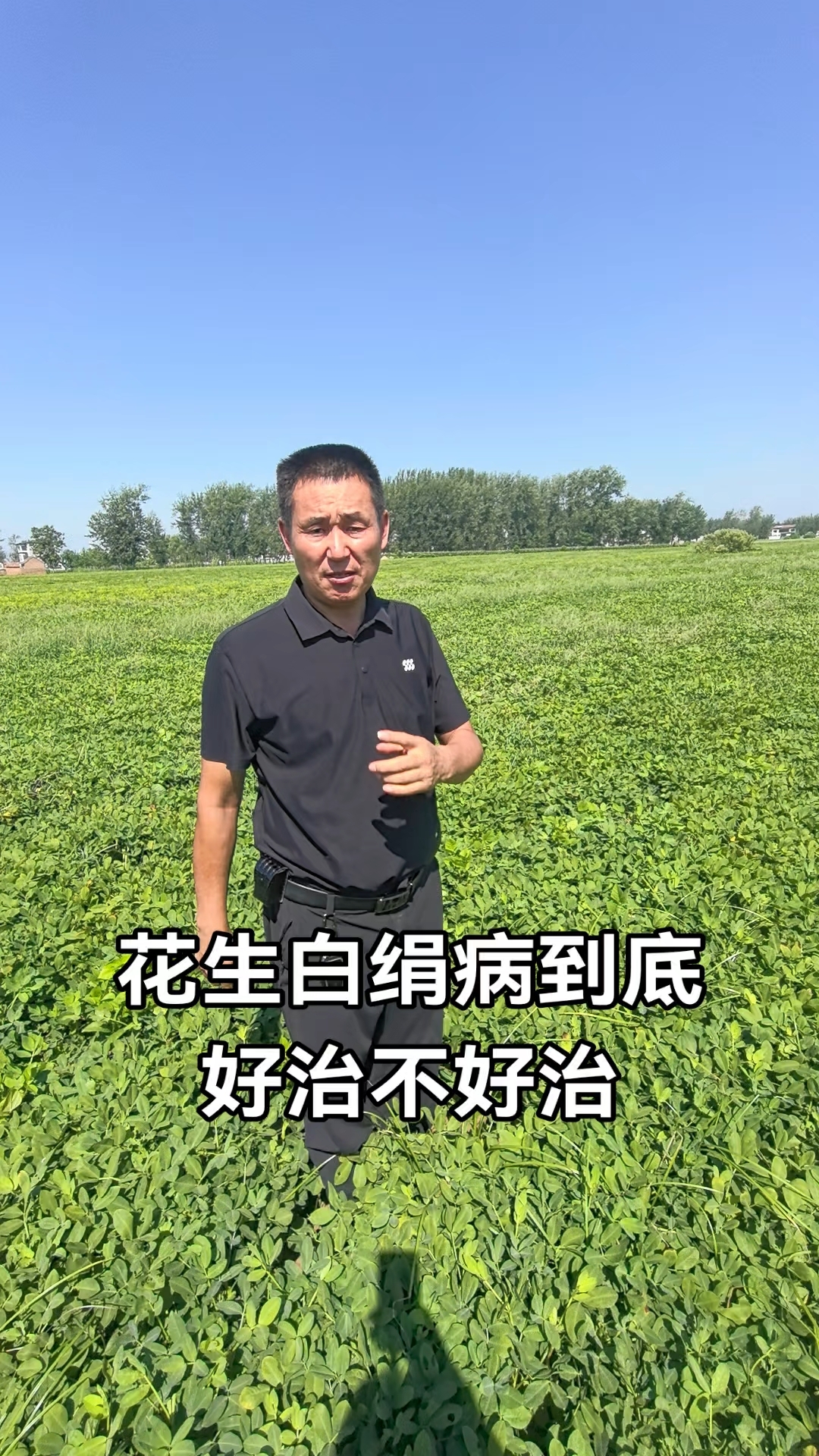 花生白绢病到底好不好治