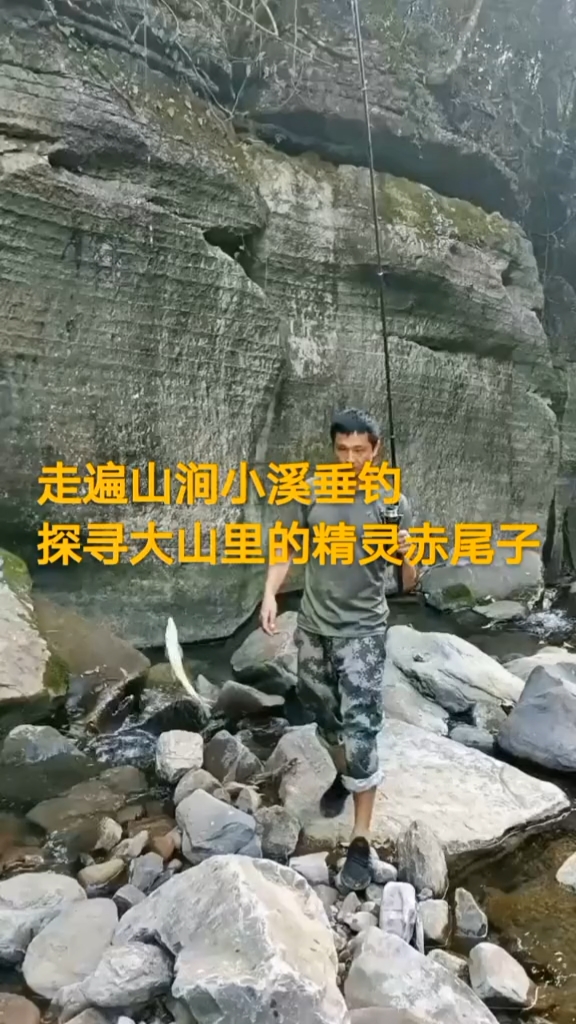 #遵义盘车溪流钓#矶竿冲钓赤尾子鱼#走遍山涧小溪垂钓