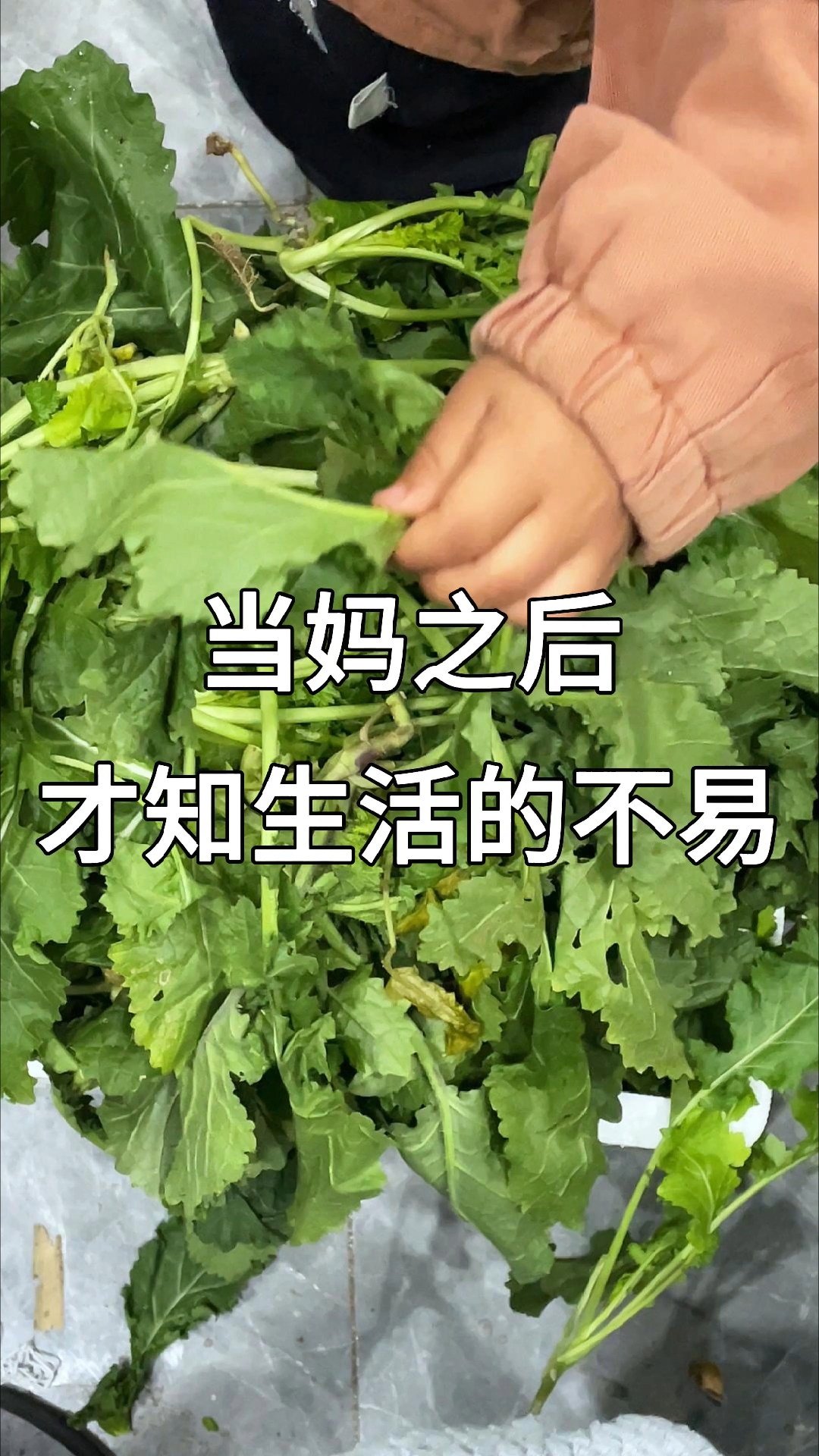 野辣菜包子