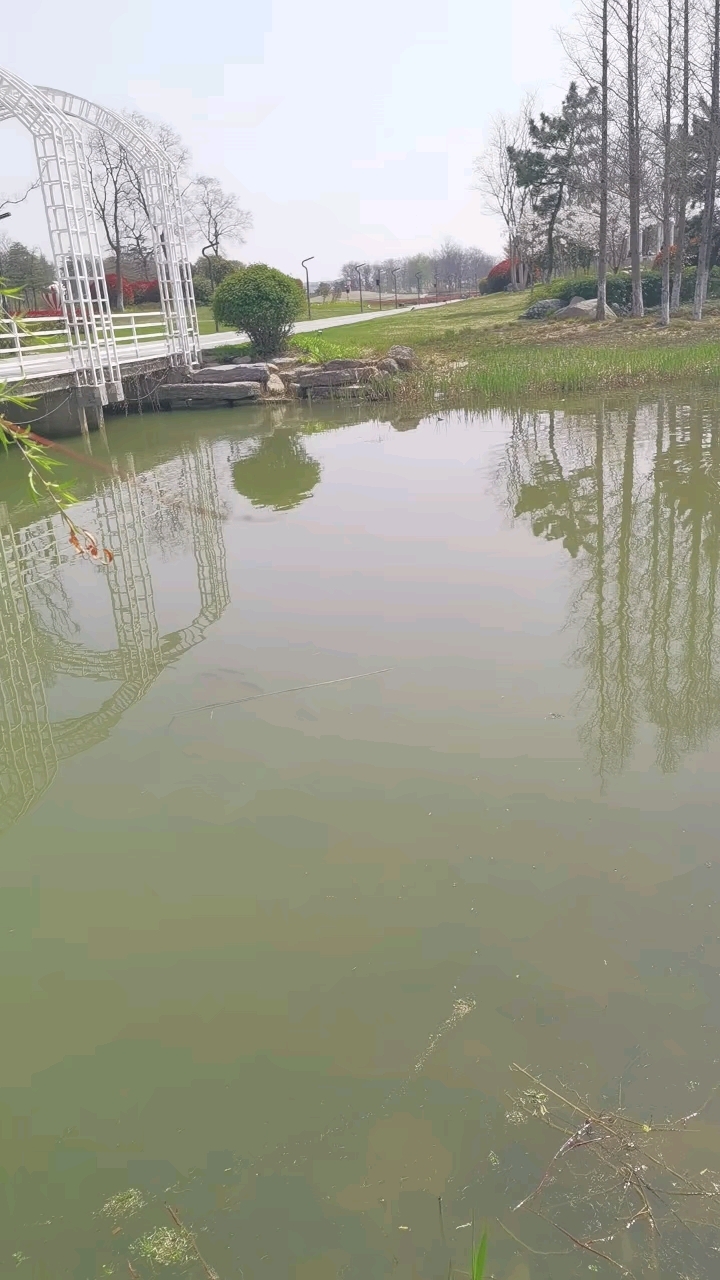 骆马湖罗曼公园!还有不少鱼
