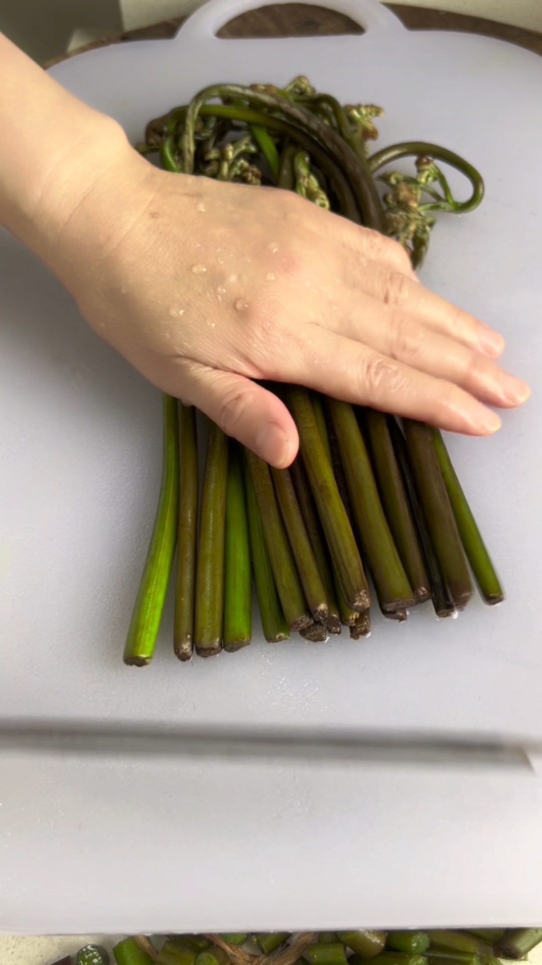 又到了吃山野菜的季节