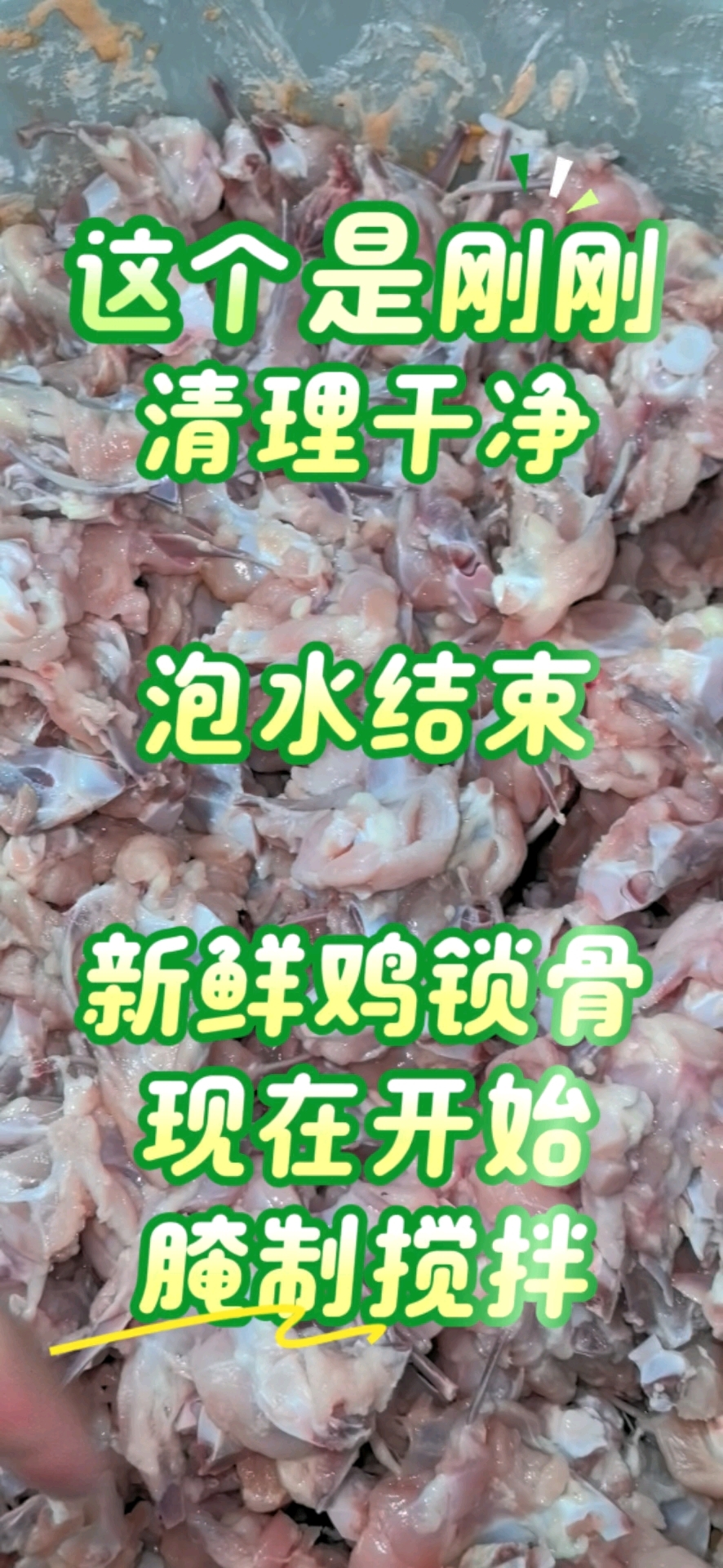 这是今天刚刚清理干净,泡水结束的新鲜鸡锁骨,现在开始腌制搅拌