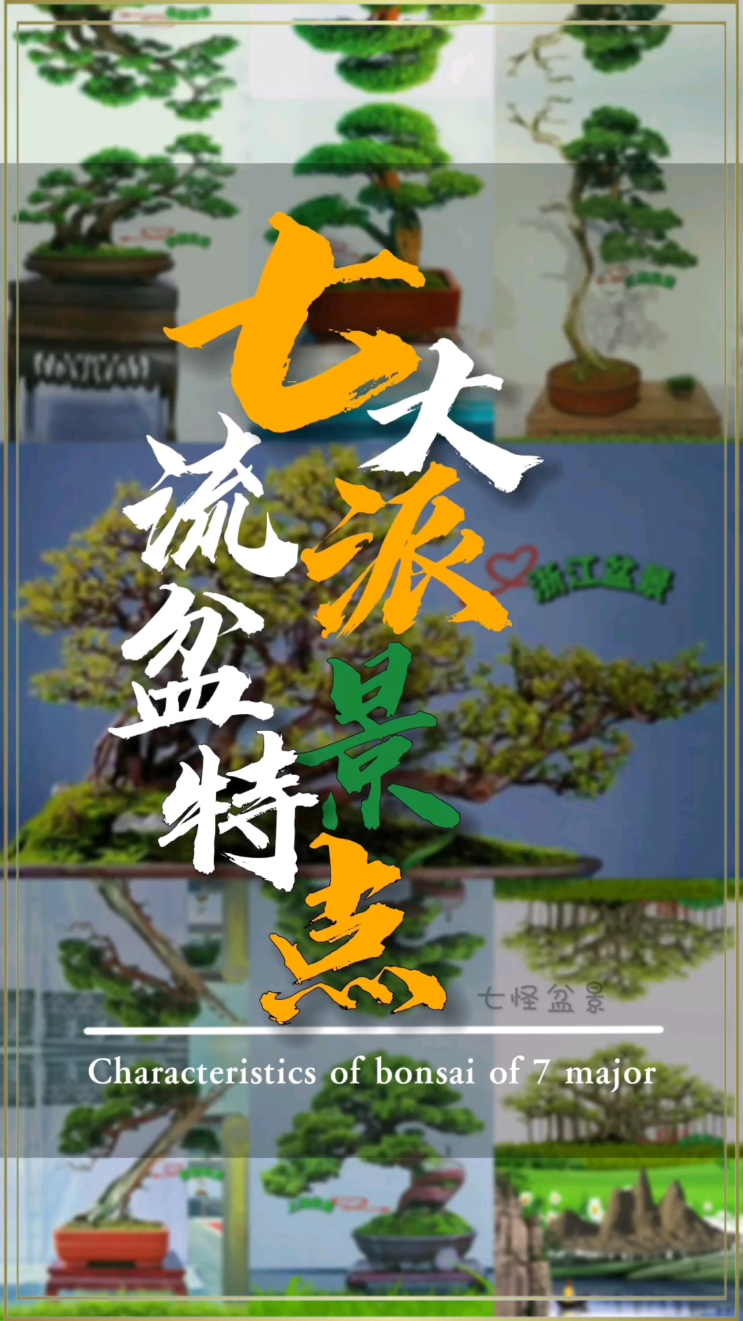 盆景展示