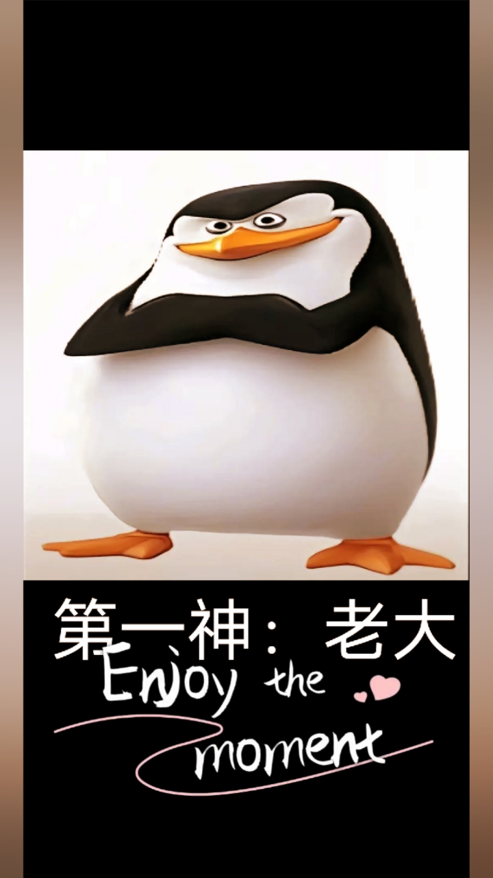 巜马达加斯加》四大企鹅概念神