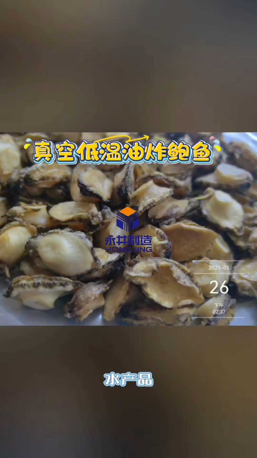 鲍鱼真空油炸机器#果蔬脆低油炸机器