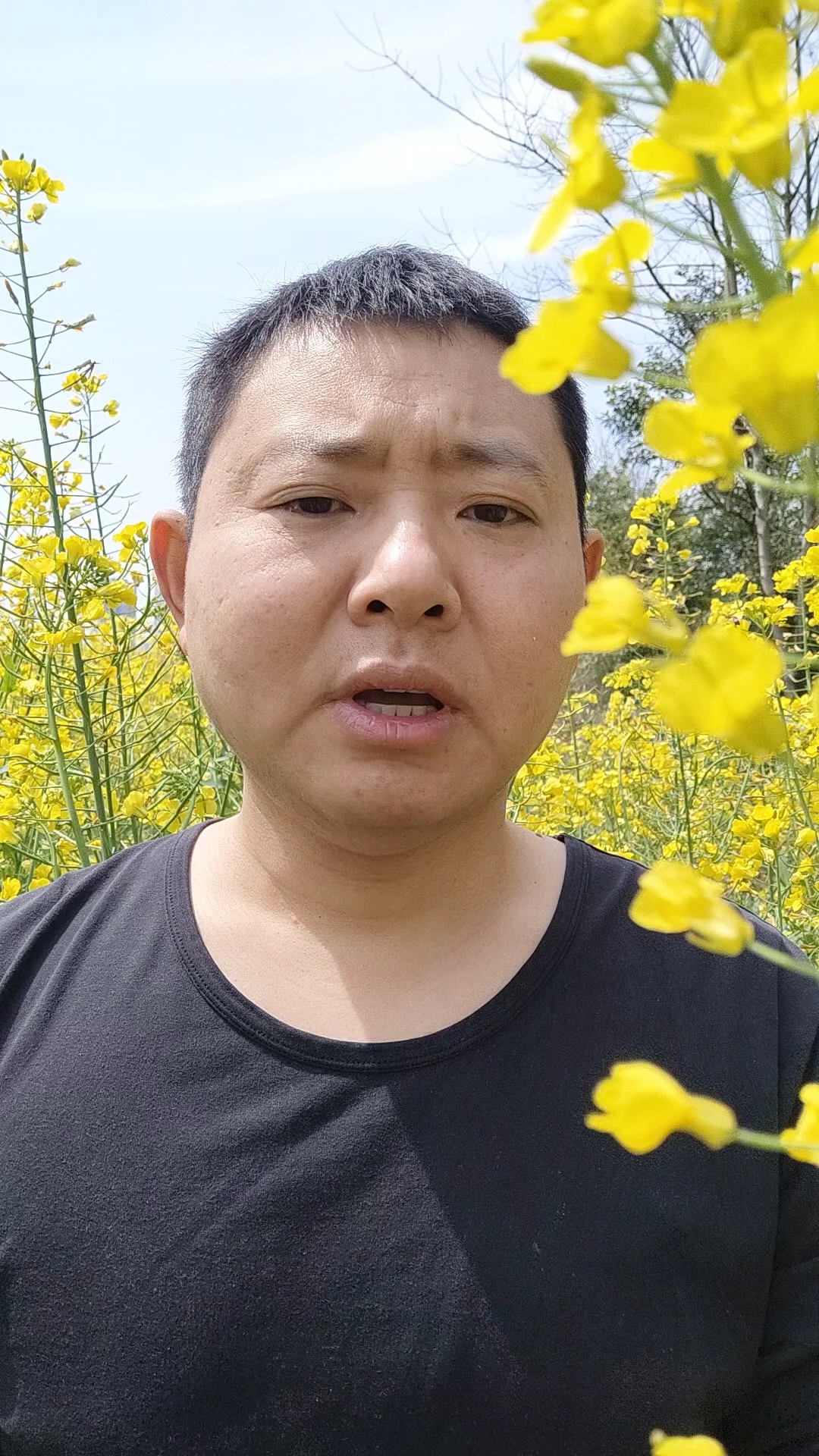 油菜花大开,我们要注意防分蜂#油菜花 #油菜蜜 #蜜蜂分蜂