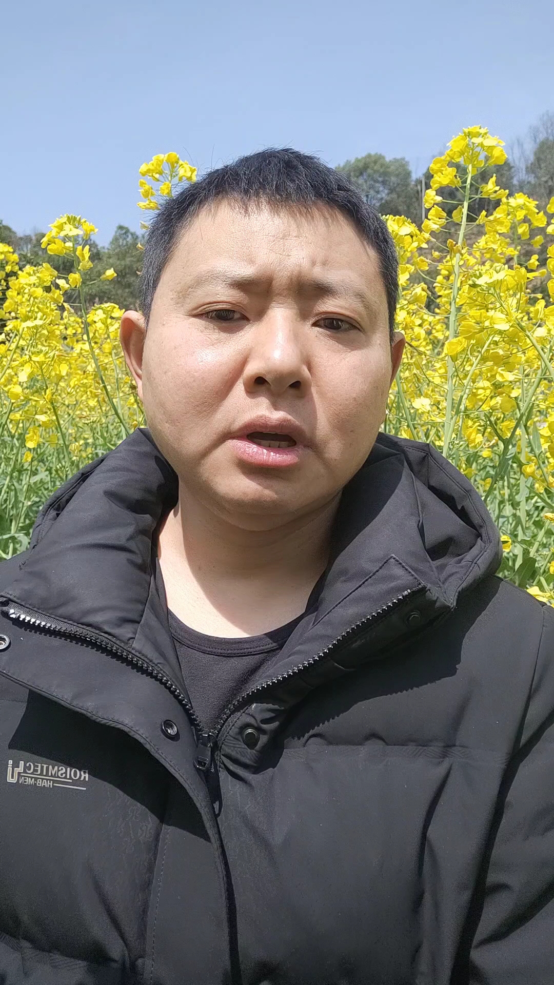 油菜花大开,小蜜蜂可以采蜜了#油菜花#油菜蜜