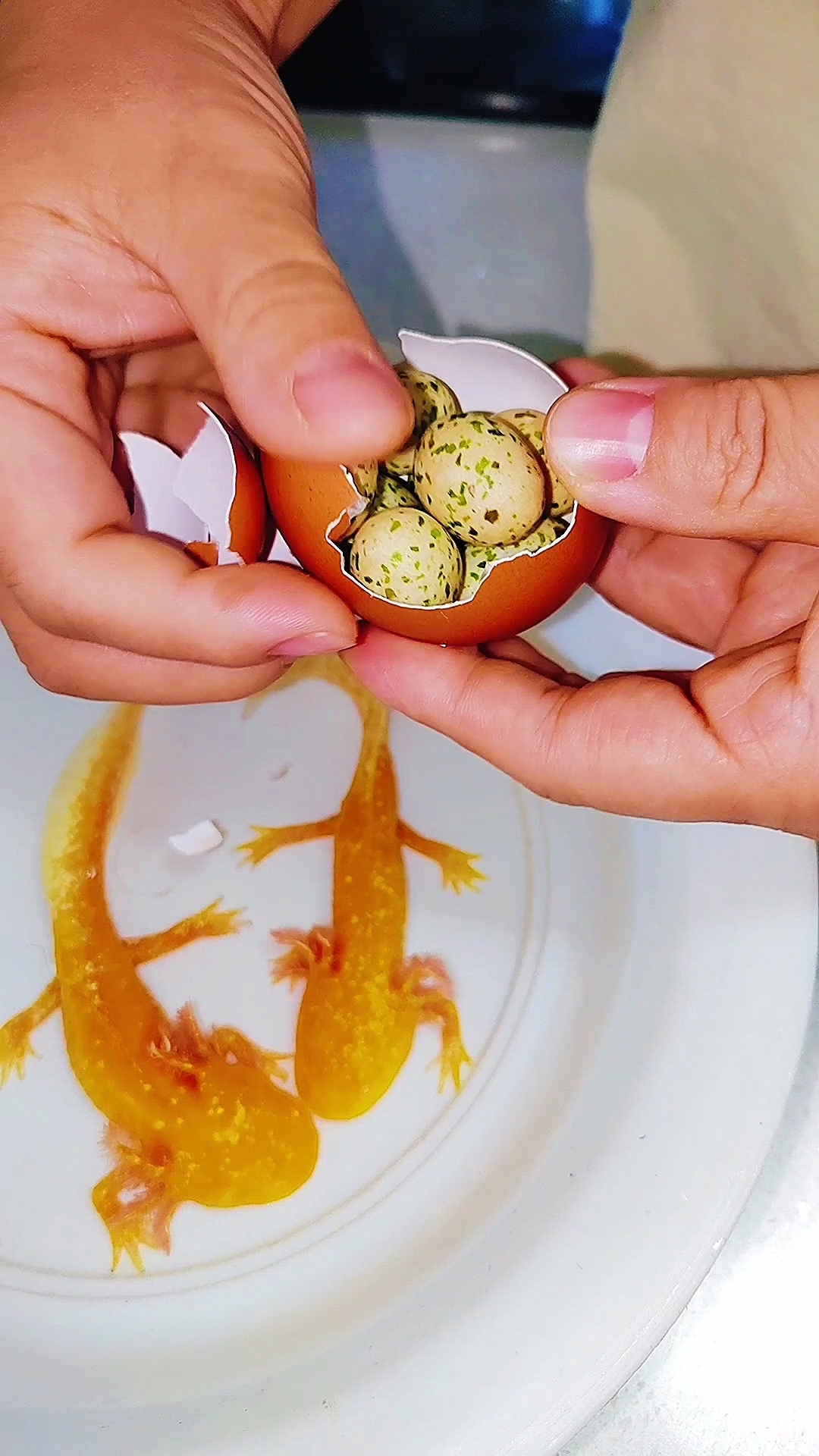 小龙鱼是胎生还是卵生?