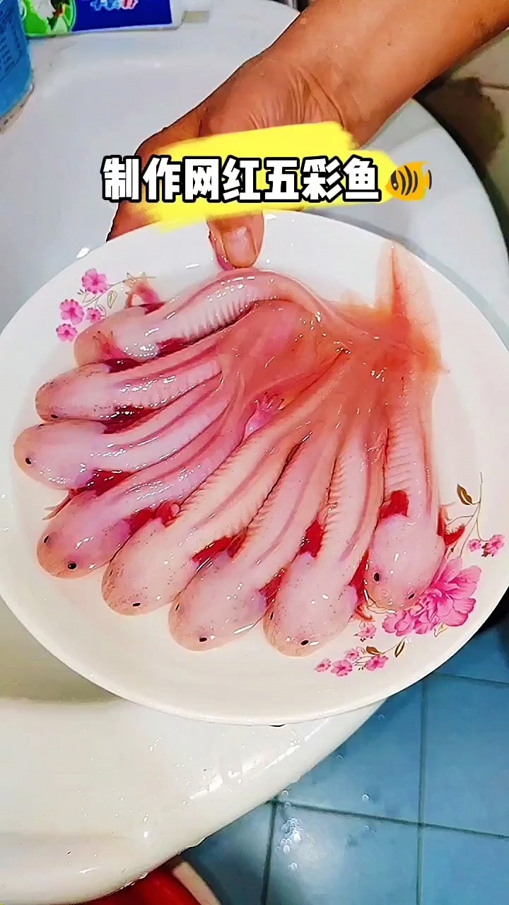 制作网红五彩鱼!