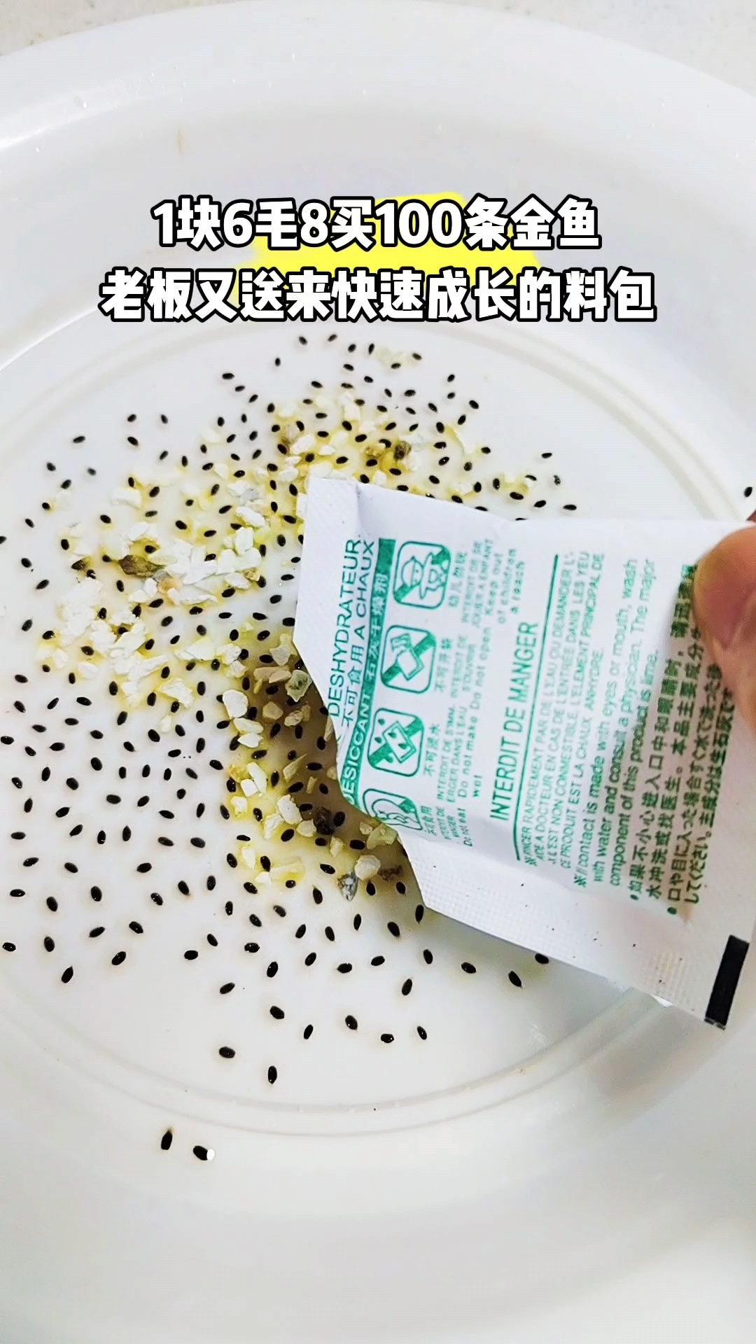 我觉得这次一定能孵化出来金鱼!