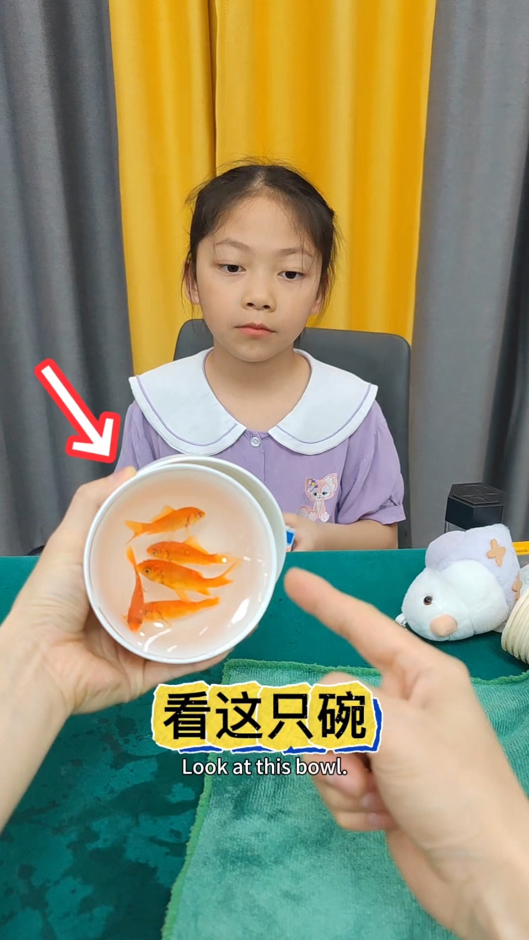 第一人称看魔术#古彩戏法 #空碗变鱼 #魔术教学 