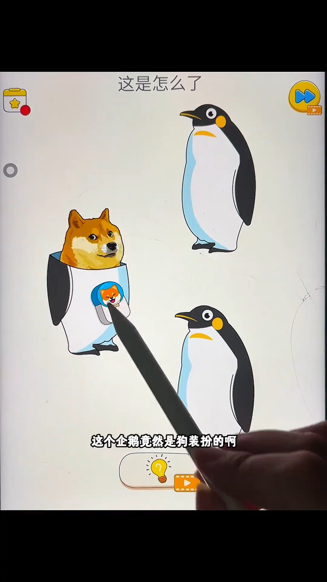 这不是三个企鹅吗?