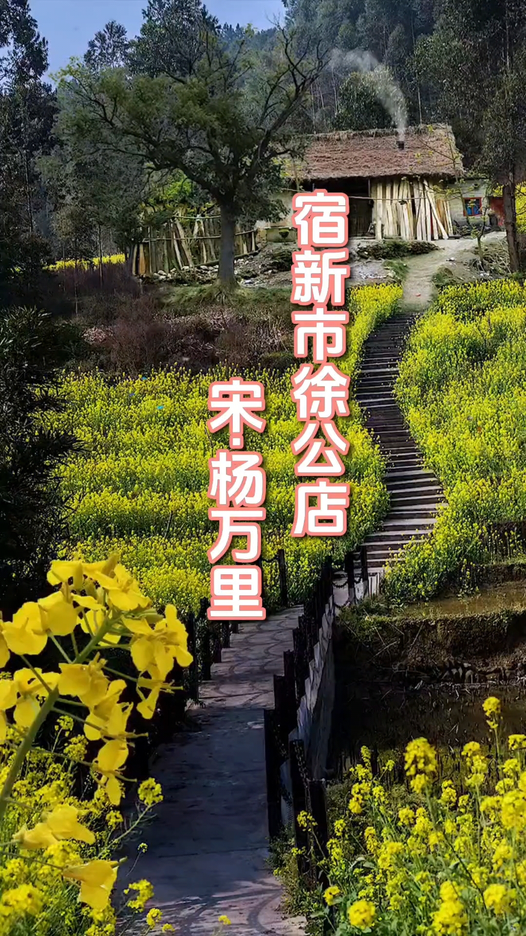 篱落疏疏一径深,树头新绿未成阴《宿新市徐公店》杨万里