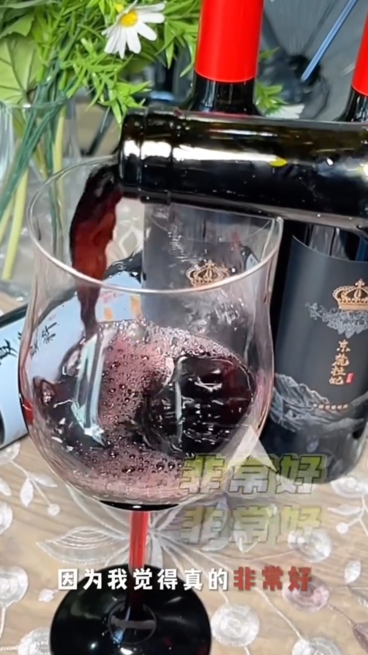 精致的家人们都在选这款宁夏贺兰山东麓拉妃葡萄酒!